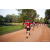 Team 65 / Raid Amazones Sri Lanka 2022 - J6 Trail