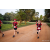 Team 07 / Raid Amazones Sri Lanka 2022 - J6 Trail