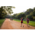 Team 64 / Raid Amazones Sri Lanka 2022 - J6 Trail