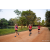 Team 92 / Raid Amazones Sri Lanka 2022 - J6 Trail