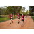 Team 324 / Raid Amazones Sri Lanka 2022 - J6 Trail