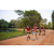 Team 34 / Raid Amazones Sri Lanka 2022 - J6 Trail