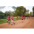 Team 25 / Raid Amazones Sri Lanka 2022 - J6 Trail