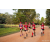 Team 335 / Raid Amazones Sri Lanka 2022 - J6 Trail