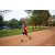 Team 303 / Raid Amazones Sri Lanka 2022 - J6 Trail