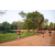 Team 310 / Raid Amazones Sri Lanka 2022 - J6 Trail