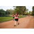 Team 17 / Raid Amazones Sri Lanka 2022 - J6 Trail