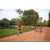 Team 61 / Raid Amazones Sri Lanka 2022 - J6 Trail