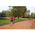 Team 89 / Raid Amazones Sri Lanka 2022 - J6 Trail