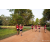 Team 69 / Raid Amazones Sri Lanka 2022 - J6 Trail