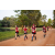Team 318 / Raid Amazones Sri Lanka 2022 - J6 Trail