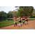 Team 86 / Raid Amazones Sri Lanka 2022 - J6 Trail