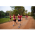 Team 307 / Raid Amazones Sri Lanka 2022 - J6 Trail