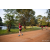 Team 338 / Raid Amazones Sri Lanka 2022 - J6 Trail