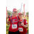 Team 76 / Raid Amazones Sri Lanka 2022 - J6 Trail