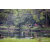 Raid Amazones Sri Lanka 2022 - J6 Trail