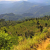 Sri Lanka 2022