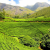 Sri Lanka 2022