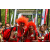 Raid Amazones Sri Lanka 2022