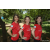 Team 315 / Raid Amazones Sri Lanka 2022