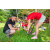 Raid Amazones Sri Lanka 2022