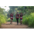 Team 301 / Raid Amazones Sri Lanka 2022 - J1 Trail