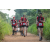 Team 97 / Raid Amazones Sri Lanka 2022 - J1 Trail