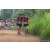 Team 78 / Raid Amazones Sri Lanka 2022 - J1 Trail