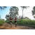 Team 08 / Raid Amazones Sri Lanka 2022 - J1 Trail