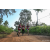 Team 301 / Raid Amazones Sri Lanka 2022 - J1 Trail