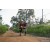Team 27 / Raid Amazones Sri Lanka 2022 - J1 Trail
