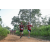 Team 06 / Raid Amazones Sri Lanka 2022 - J1 Trail