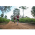 Team 10 / Raid Amazones Sri Lanka 2022 - J1 Trail
