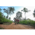 Team 314 / Raid Amazones Sri Lanka 2022 - J1 Trail