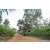 Team 320 / Raid Amazones Sri Lanka 2022 - J1 Trail