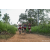Team 331 / Raid Amazones Sri Lanka 2022 - J1 Trail