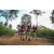 Team 315 / Raid Amazones Sri Lanka 2022 - J1 Trail