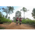 Team 16 / Raid Amazones Sri Lanka 2022 - J1 Trail