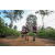 Team 309 / Raid Amazones Sri Lanka 2022 - J1 Trail