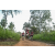 Team 312 / Raid Amazones Sri Lanka 2022 - J1 Trail