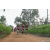 Team 321 / Raid Amazones Sri Lanka 2022 - J1 Trail