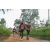 Team 35 / Raid Amazones Sri Lanka 2022 - J1 Trail
