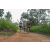 Team 38 / Raid Amazones Sri Lanka 2022 - J1 Trail