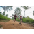 Team 48 / Raid Amazones Sri Lanka 2022 - J1 Trail