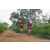 Team 15 / Raid Amazones Sri Lanka 2022 - J1 Trail