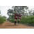 Team 96 / Raid Amazones Sri Lanka 2022 - J1 Trail