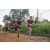 Team 43 / Raid Amazones Sri Lanka 2022 - J1 Trail