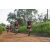 Team 97 / Raid Amazones Sri Lanka 2022 - J1 Trail