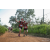 Team 67 / Raid Amazones Sri Lanka 2022 - J1 Trail