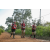 Team 323 / Raid Amazones Sri Lanka 2022 - J1 Trail